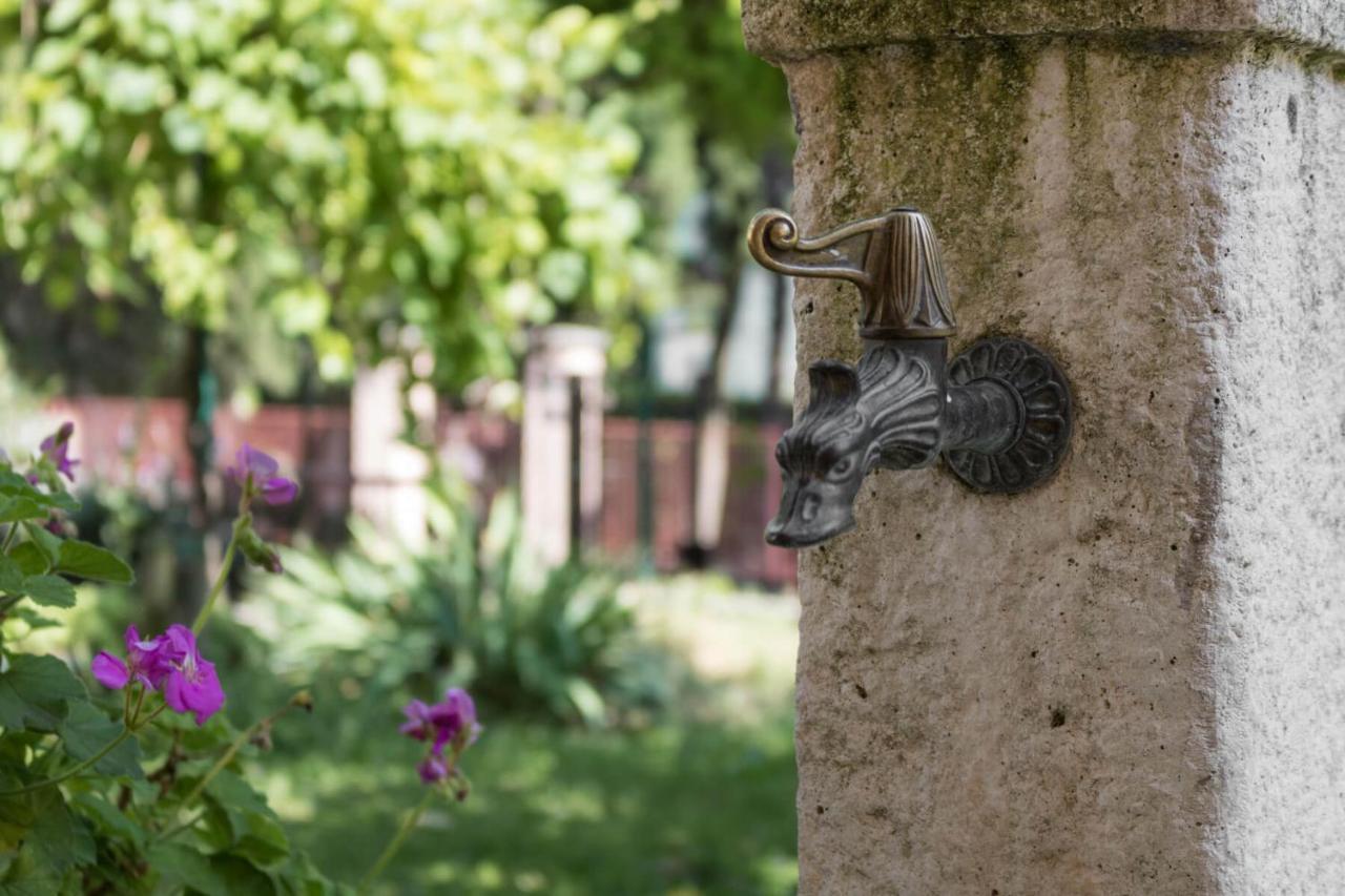 Villa Francesco Appartamento La Ruota Дезенцано-дель-Гарда Екстер'єр фото